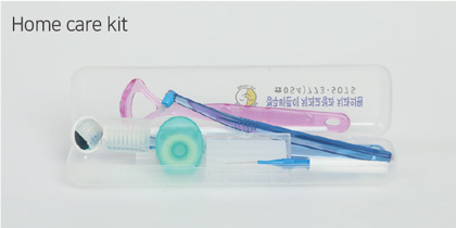 Inter Dental Brush Home care kit